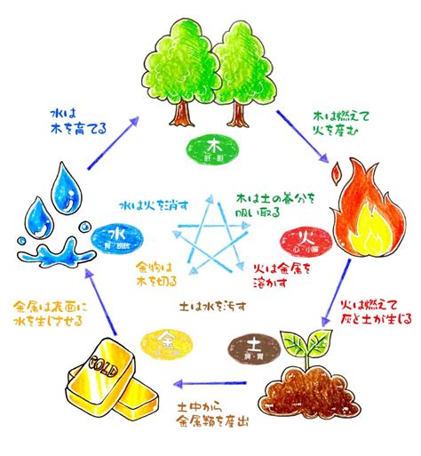 陽土命|四柱推命【五行】とは？陰陽五行説と占いの関係・五。